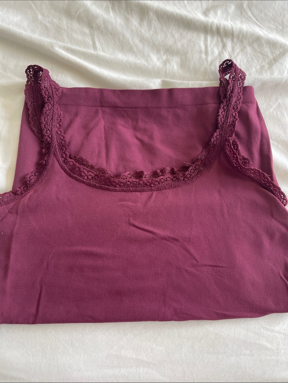 The Limited Lace-Trim Camisole in Berry